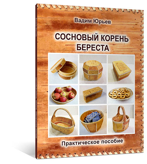 Сосновый корень Береста